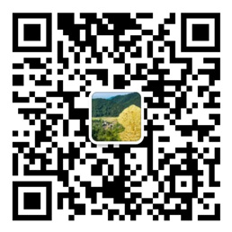大发购彩